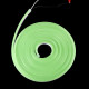 LED neon 6x12 mm 10 W/m 2835 120 diodes IP68 12 Volt GREEN light colour LED neon 6x12 mm 10 W/m 2835 120 diodes IP68 12 Volt GREEN light colour