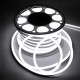 LED neon 8x16 mm 10 W/m 2835 120 diodes IP68 220 Volt 6000K COOL WHITE light colour LED neon 8x16 mm 10 W/m 2835 120 diodes IP68 220 Volt 6000K COOL WHITE light colour